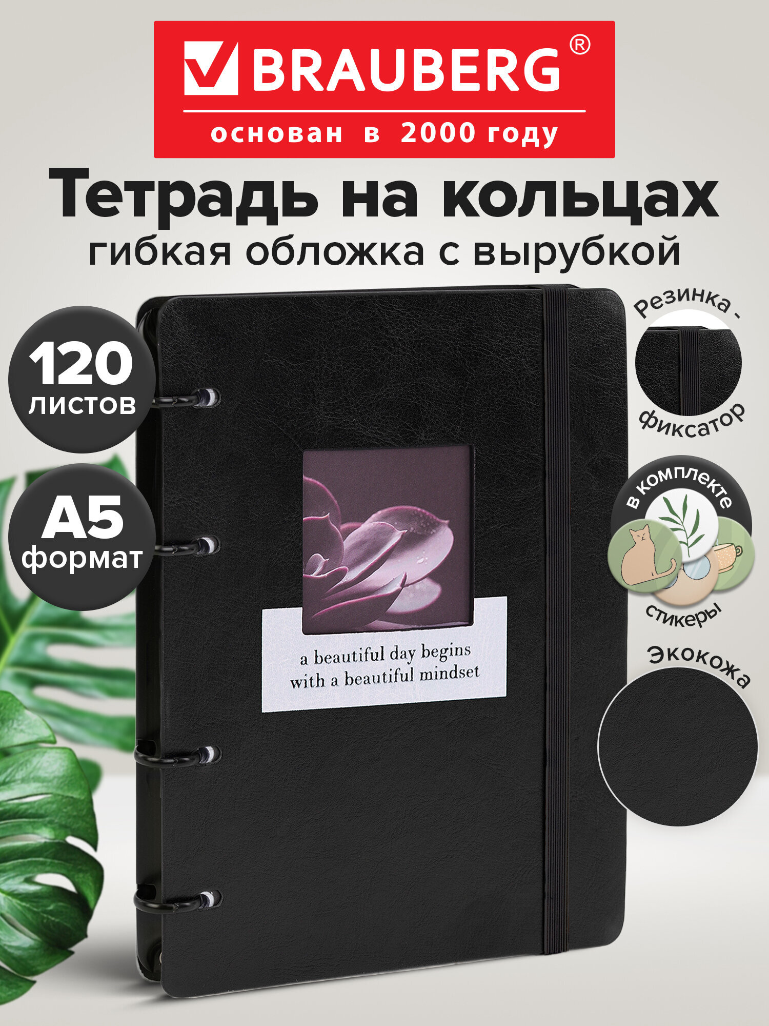 Тетрадь со сменным блоком Brauberg клетка 120 лист. - фото 1