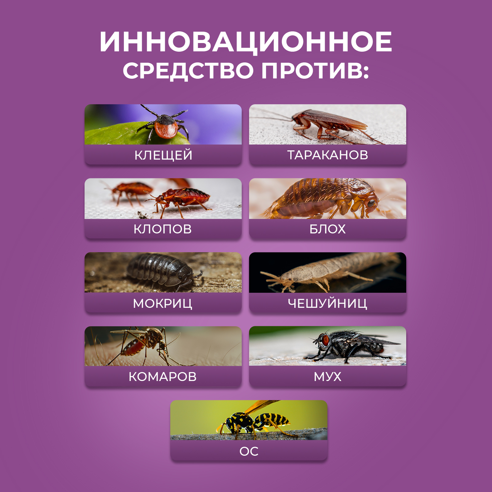 Циперметрин 25% отрава Ou!borka от комаров, мух, клещей и муравьев - фото 2