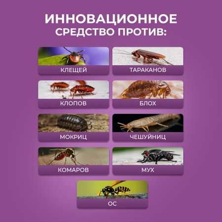Циперметрин 25% отрава Ou!borka от комаров, мух, клещей и муравьев