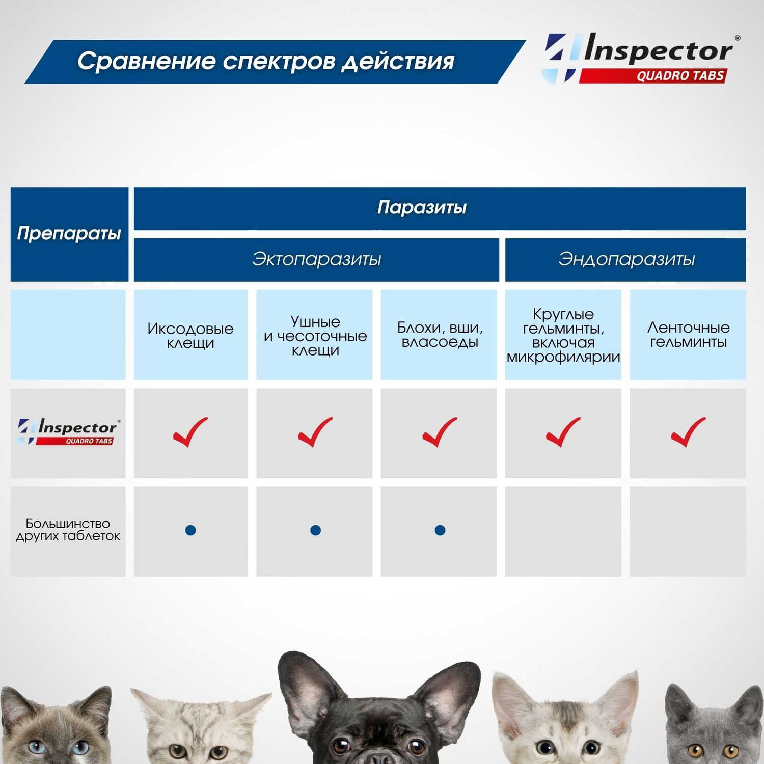 Таблетки от клещей, блох и гельминтов для кошек и собак Inspector Quadro Tabs 2-8кг - фото 7