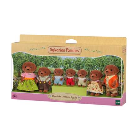 Игровой набор Sylvanian Families