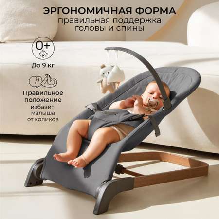 Детский шезлонг Amarobaby Harmony графит