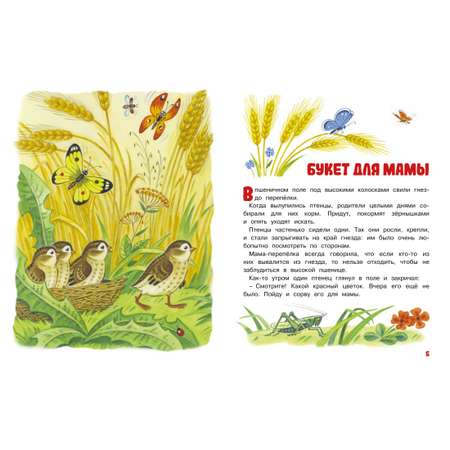 Книга Махаон Мамины сказки.