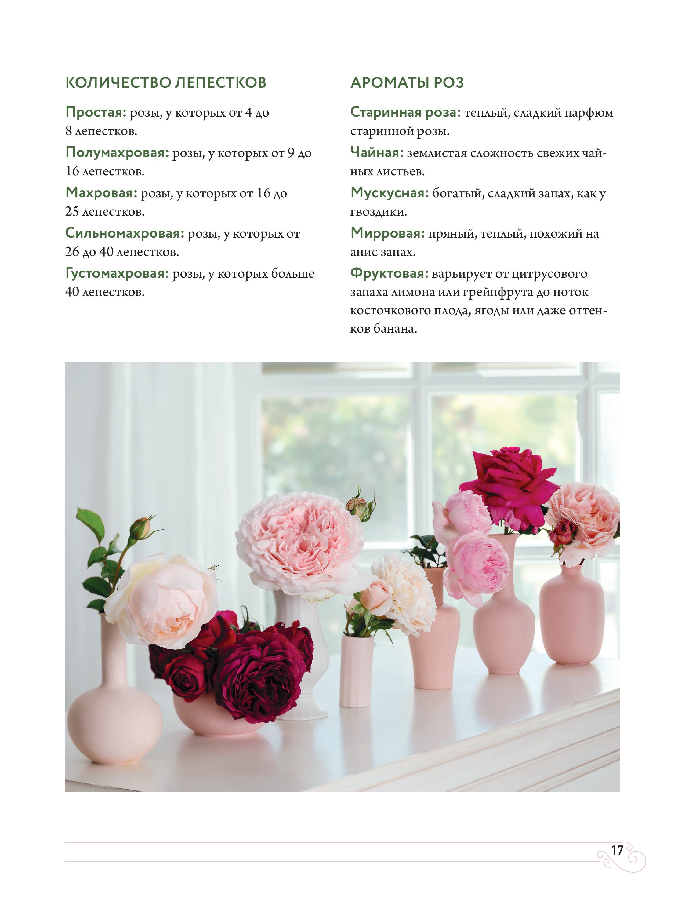 Книга БОМБОРА Садовые розы. Полное руководство по выращиванию - фото 9