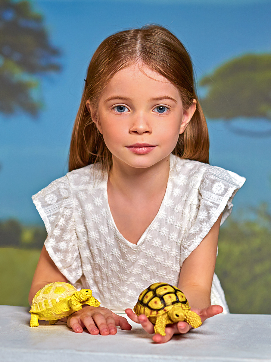 Игровой набор Masai Mara Египетская черепаха - фото 1