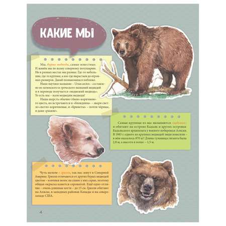 Книга ПИТЕР Мы-медведи