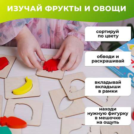 Игрушка Alatoys сортер досочки Сегена в ассортименте