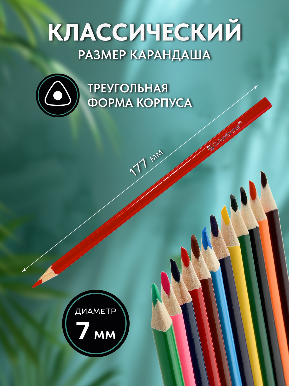 Карандаши цветные SCHOOLFORMAT 24 шт. - фото 4