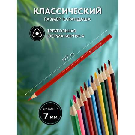 Карандаши цветные SCHOOLFORMAT 24 шт.