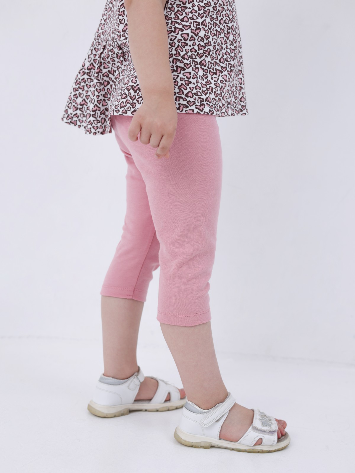 Бриджи Пелигрин БР1п - фото 1