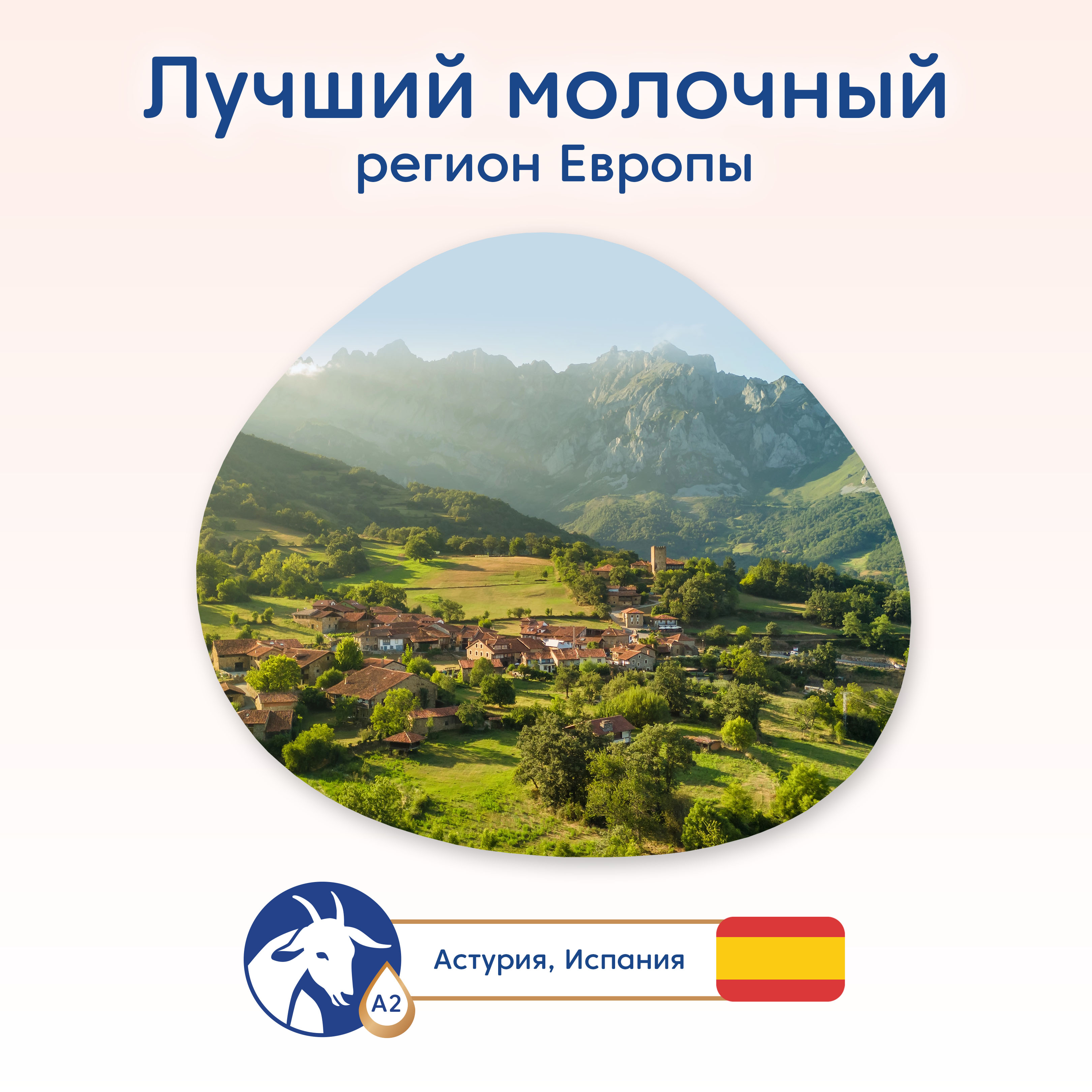 Смесь Мамако 1 Premium на козьем молоке 800г с 0месяцев - фото 2