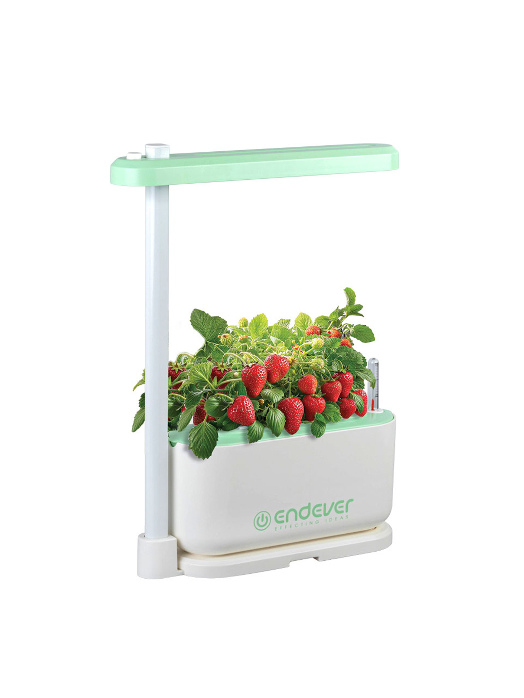Гидропонная установка ENDEVER Garden-1 12 Вт 1.8 л 3 модуля LED белый/зелёный - фото 7