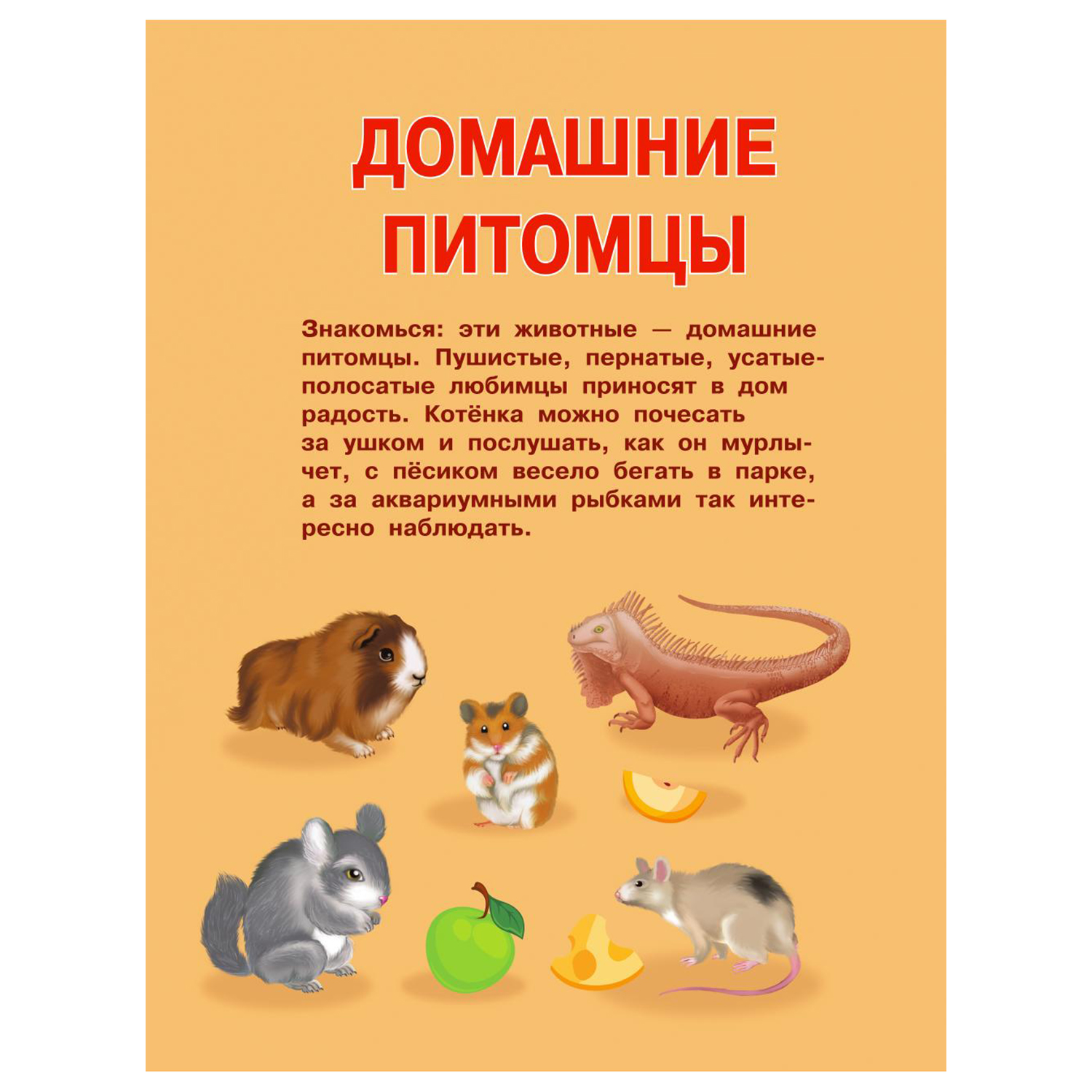 Книга Первые занятия с малышом Первая книга о животных - фото 4