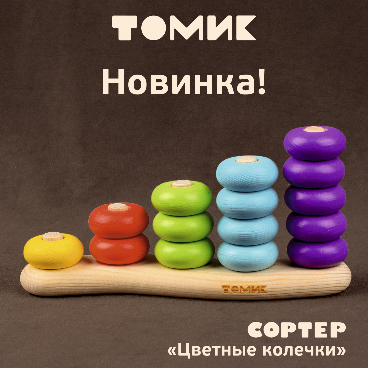 Игрушка Томик сортер Цветные колечки - фото 4