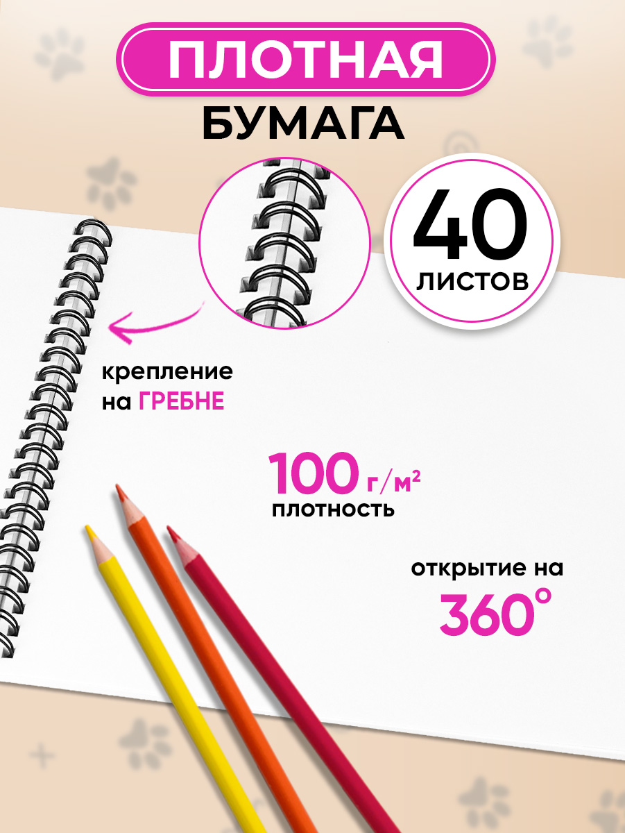 Альбом Prof-Press А4 40 лист. 2 шт. - фото 2