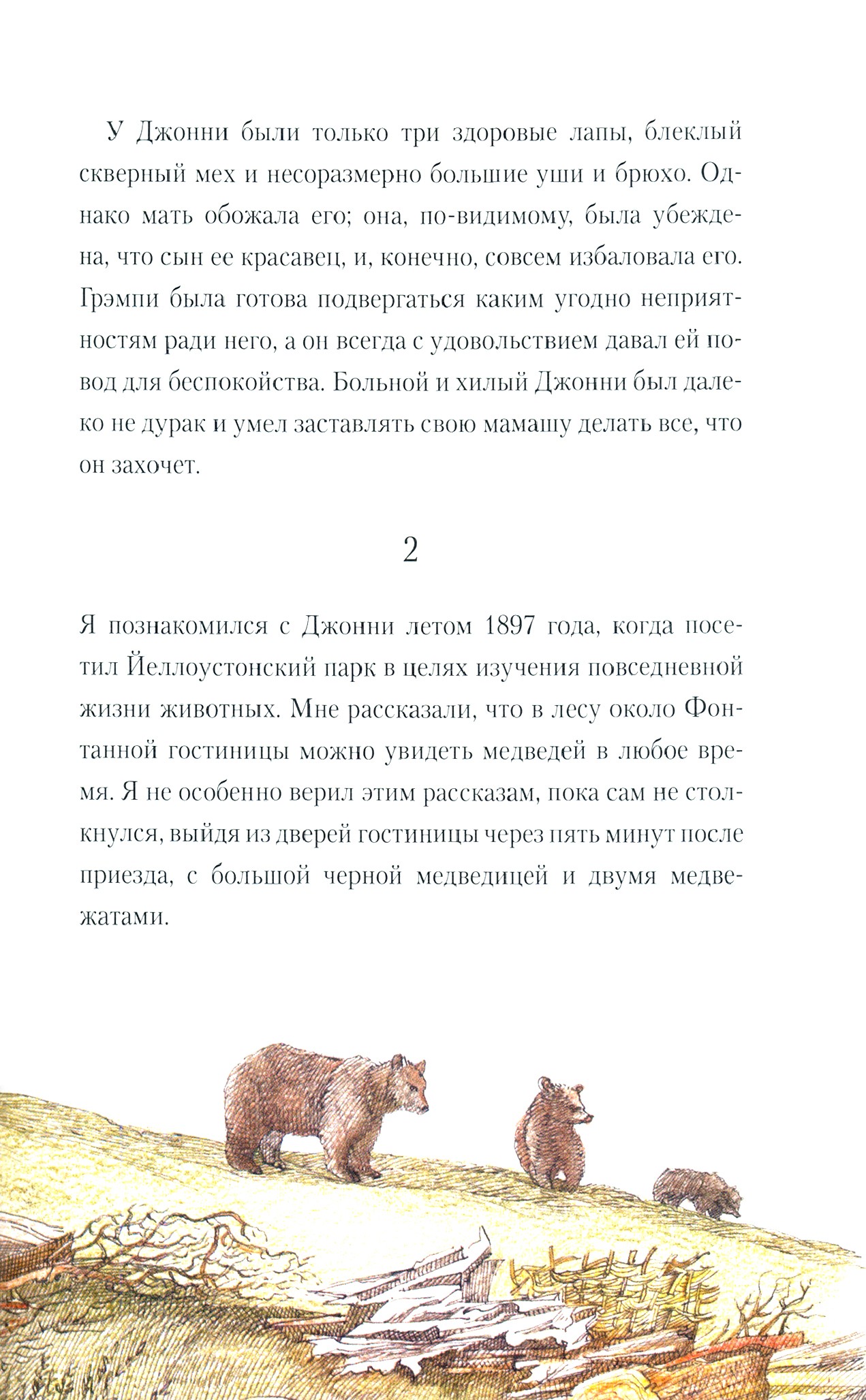 Книга Текст Медвежонок Джонни - фото 3