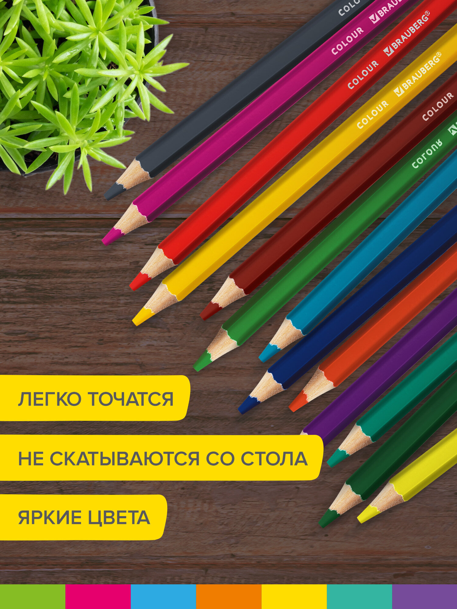 Карандаши цветные Brauberg 12 шт. - фото 4
