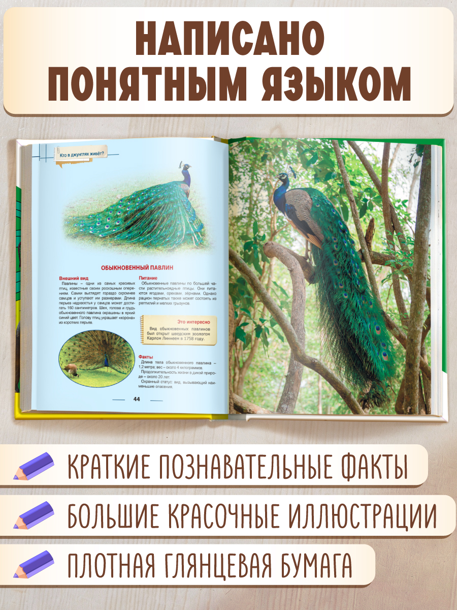 Книга Проф-Пресс Энциклопедия для детей. Кто в джунглях живёт? - фото 2