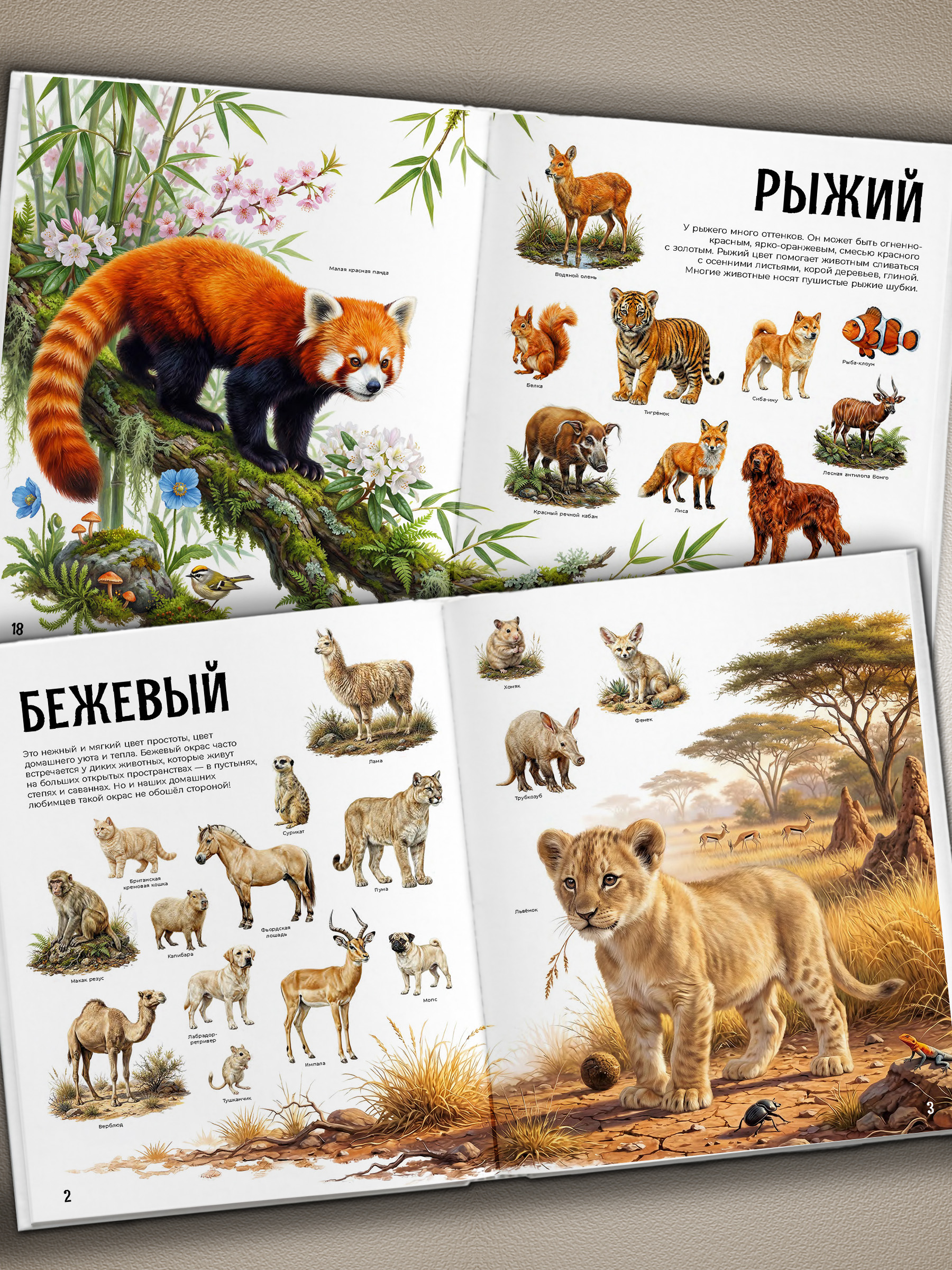 Первая книга Малыша Premiere Publishing энциклопедия гигантская - фото 6