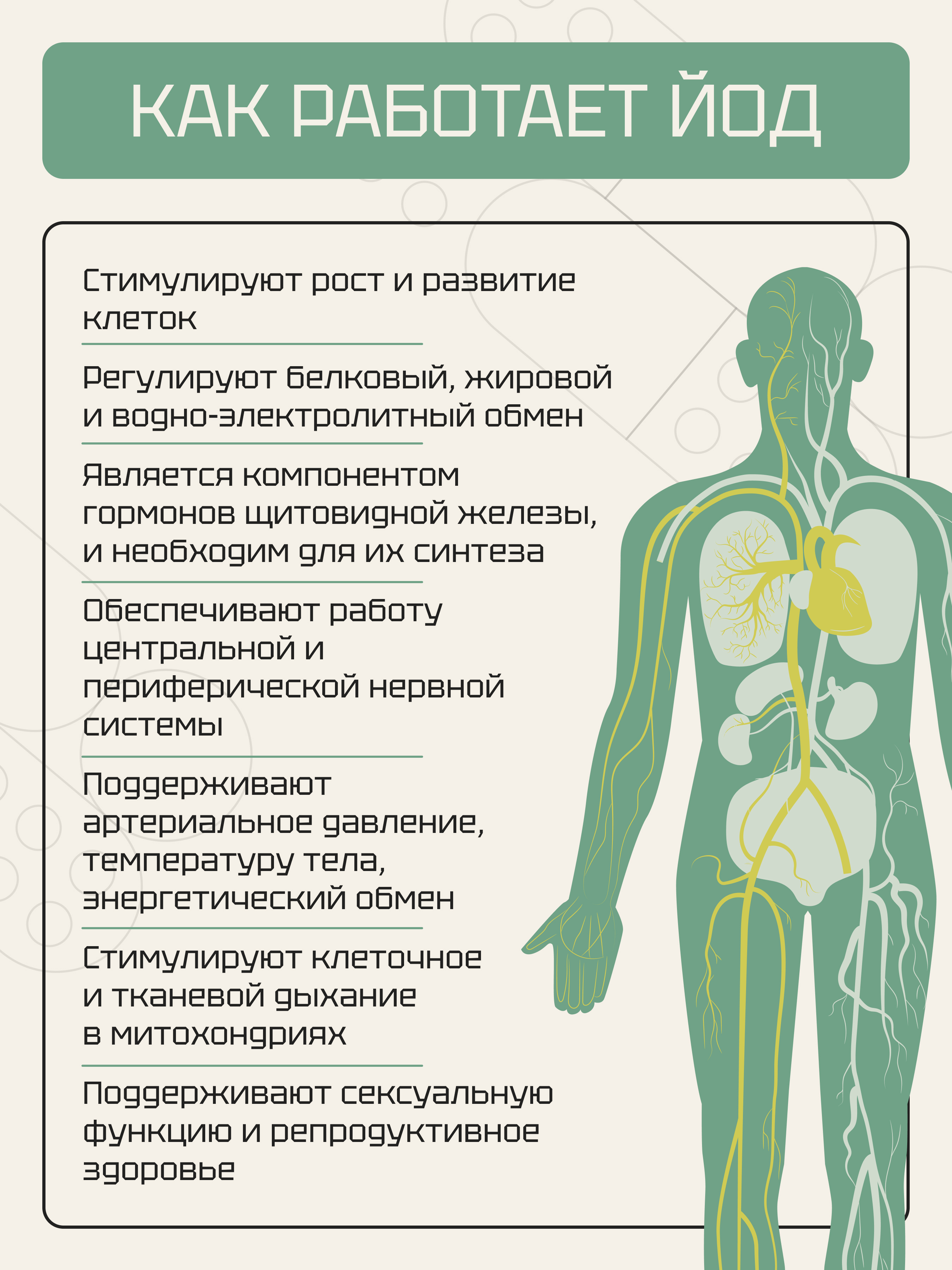 Витамины Zolten Tabs Йод, 1000мкг - фото 6