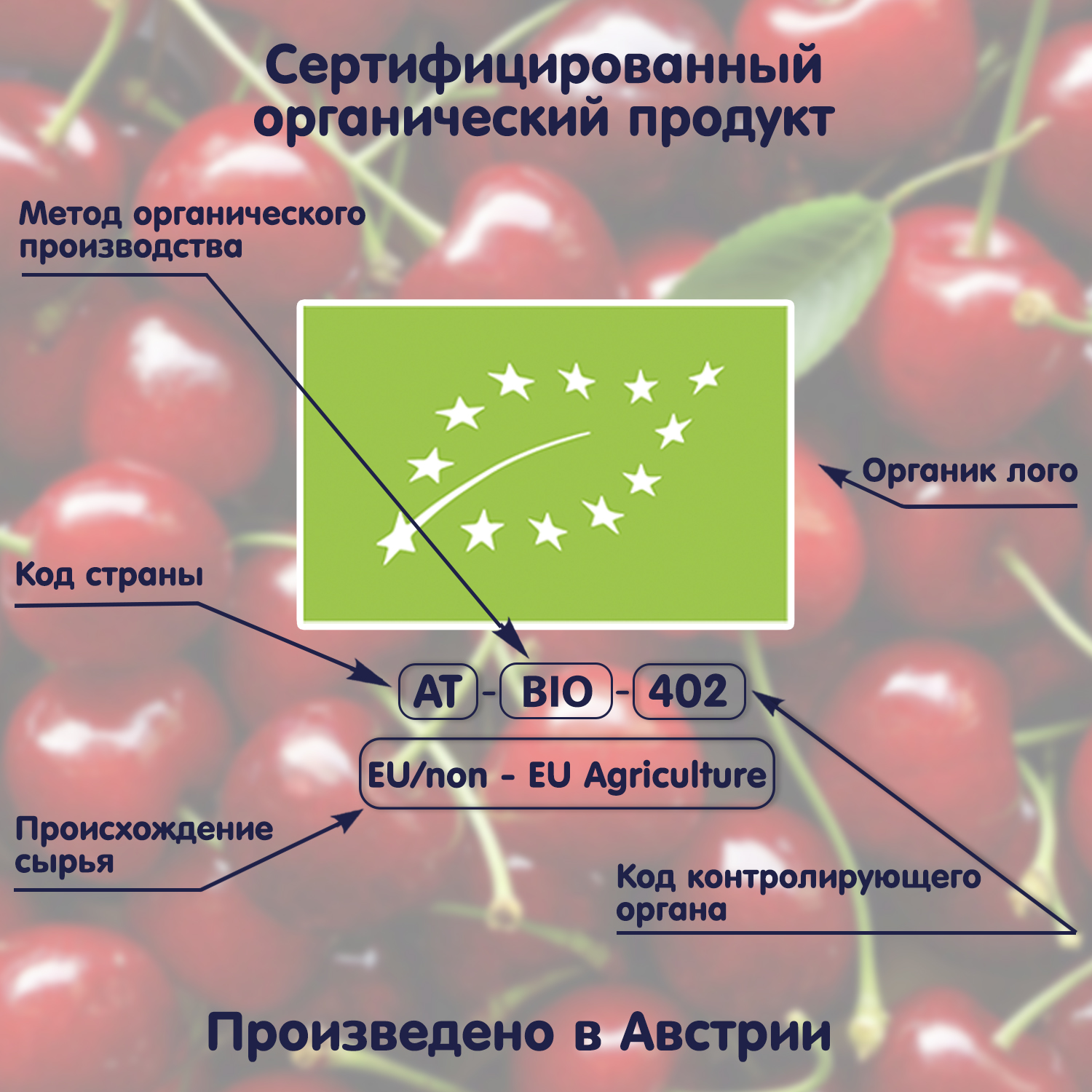 Сок Fleur Alpine с водой яблоко-вишня 200мл с 8месяцев - фото 9