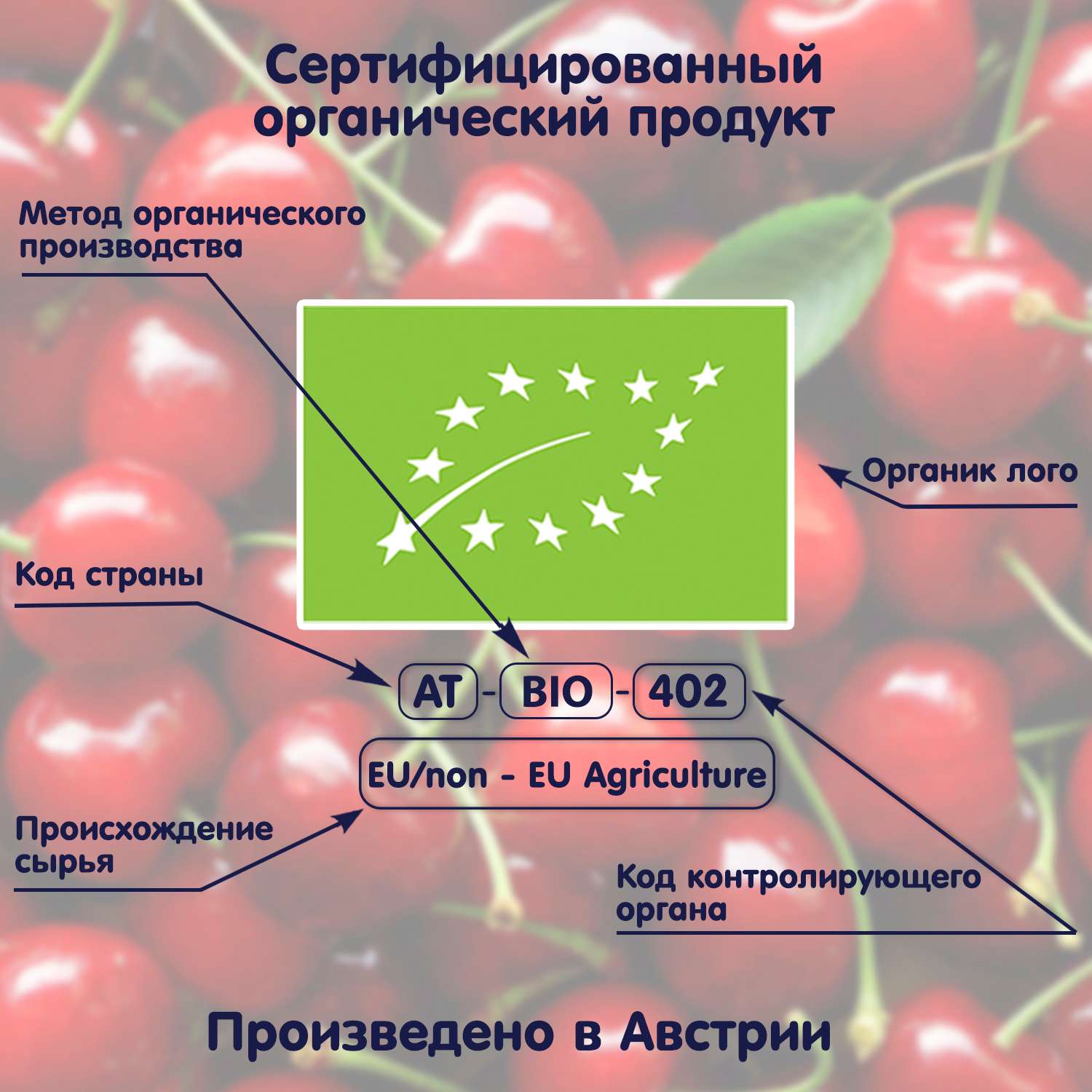 Сок Fleur Alpine с водой яблоко-вишня 200мл с 8месяцев - фото 9