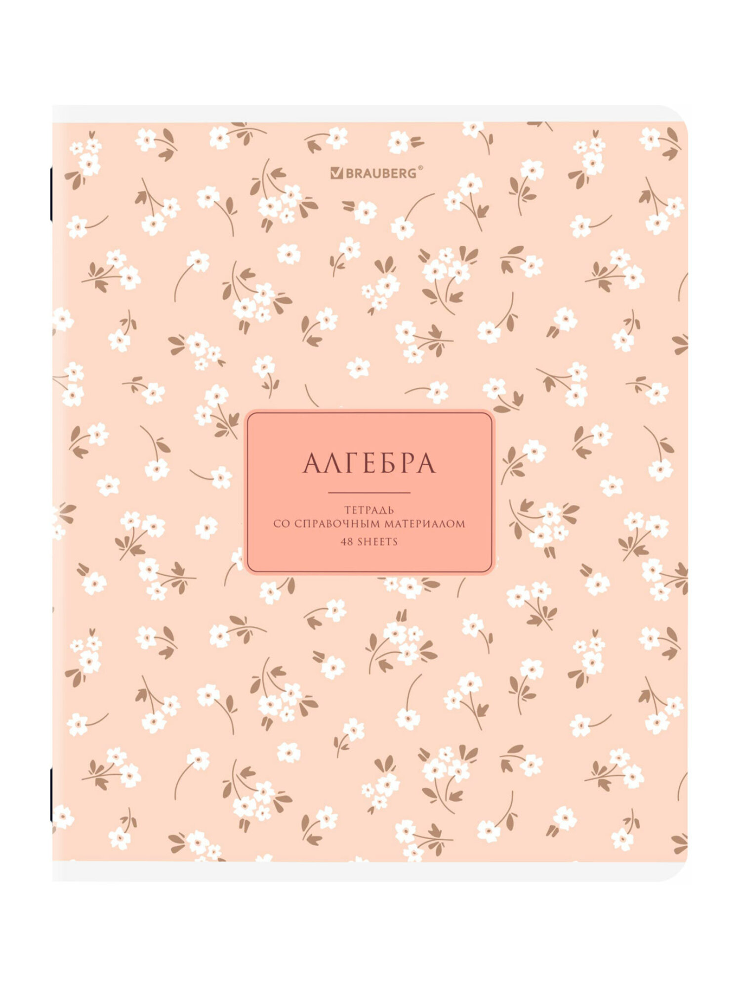 Тетрадь Brauberg 48 лист. 12 шт. - фото 16