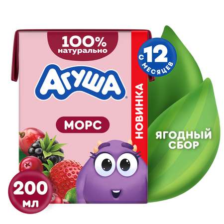 Морс Агуша Виноград клюква ежевика 200мл