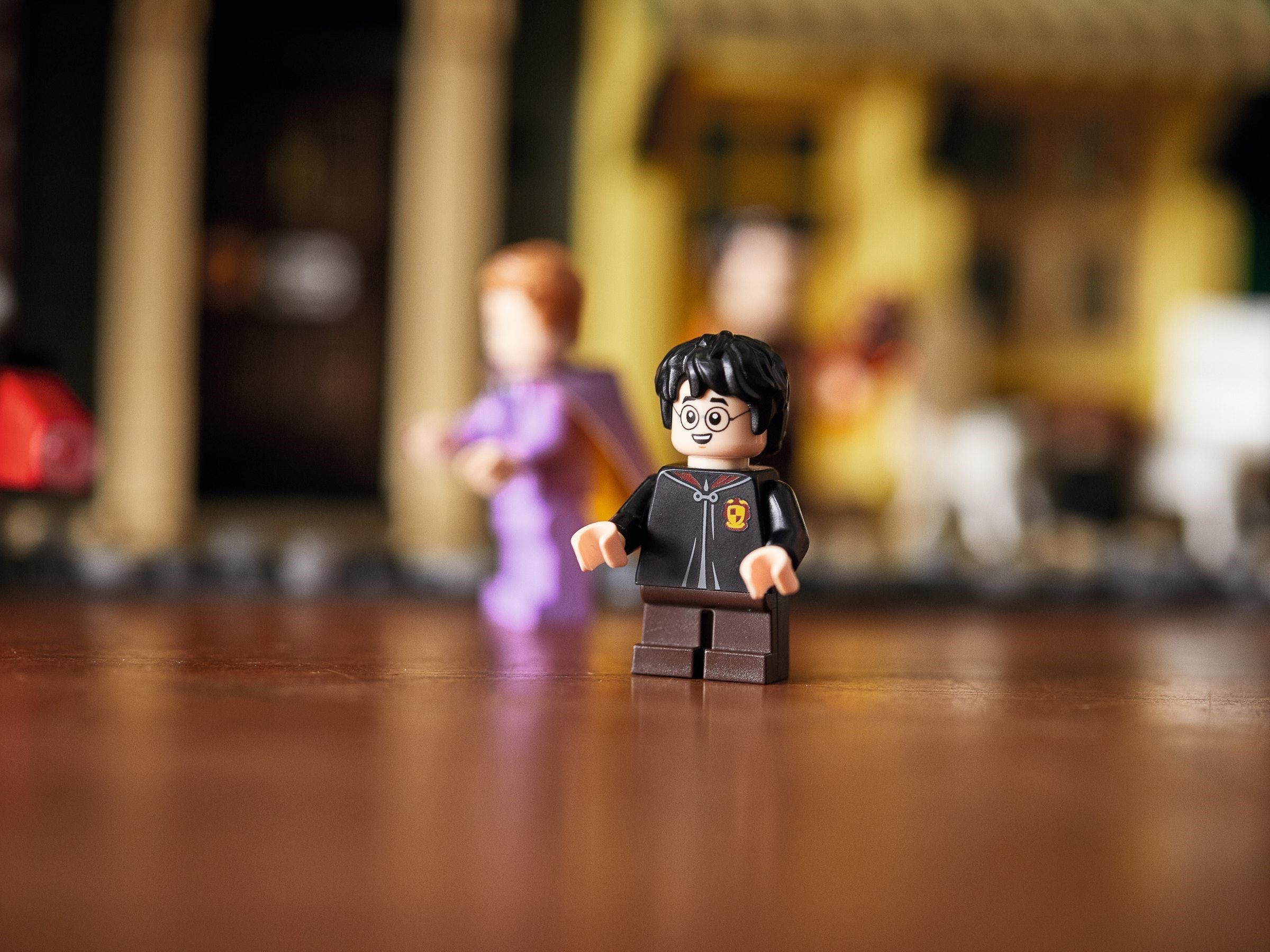 Конструктор LEGO Harry Potter 75978 5544 дет. - фото 26