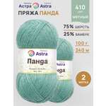 Пряжа Astra Premium Панда Panda шерсть бамбук 100 г 240 м 410 мятный 2 мотка