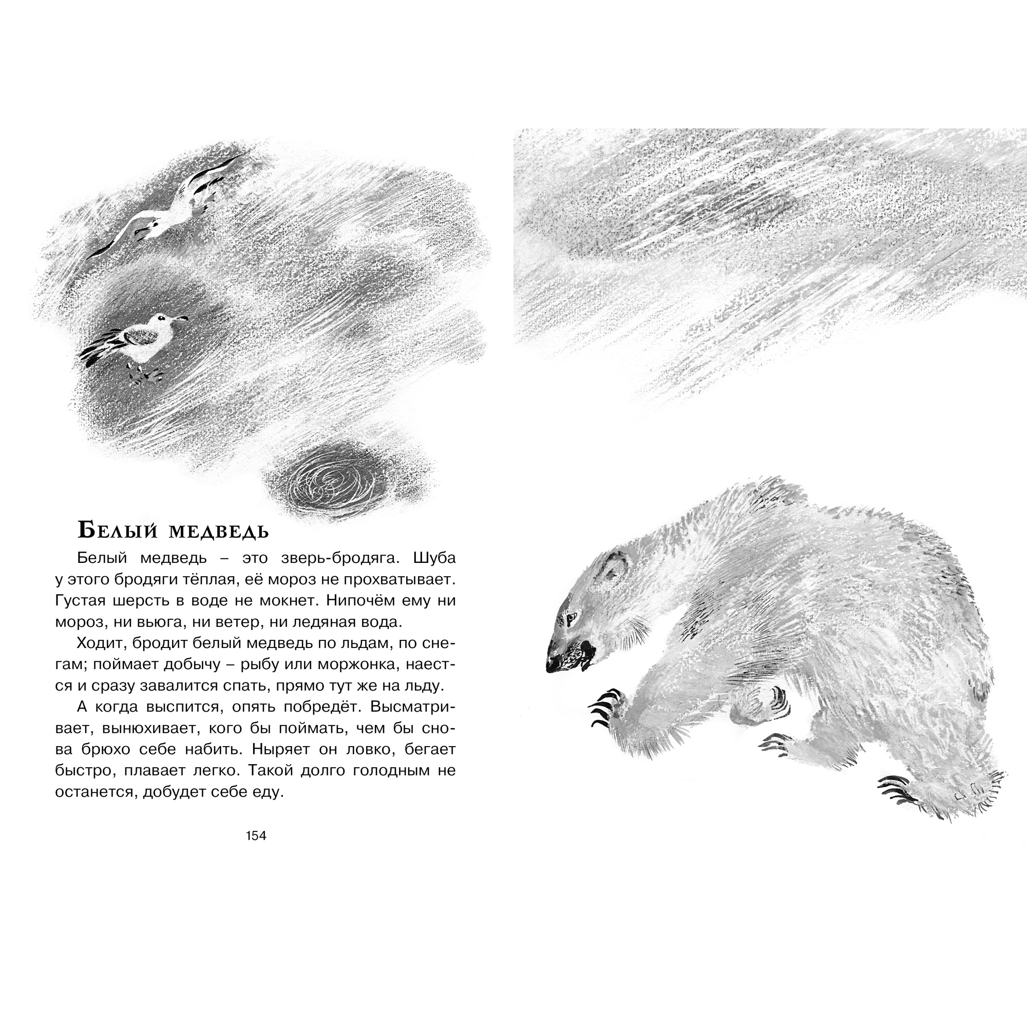 Книга МАХАОН Друзья Чарушин Е. - фото 9
