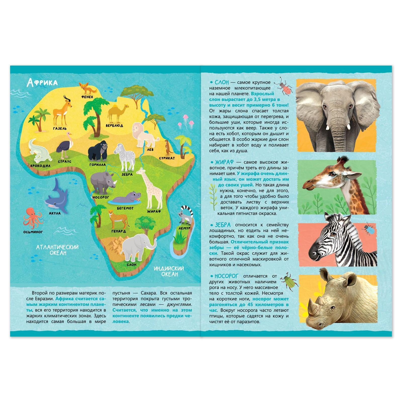 Книжка с наклейками Буква-ленд Животные нашей планеты 16 стр - фото 2