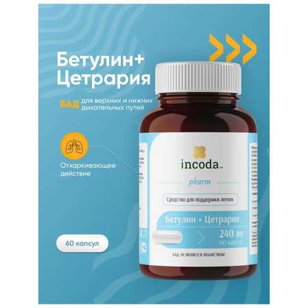 Бетулин Цетрария Incoda исландский мох от кашля, противовирусное