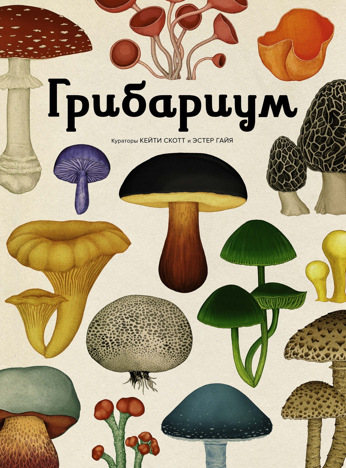 Книга Махаон Энц. Хауксворт Д. Л., Сьюз Л. М., Кой П. В., Грибариум - фото 1