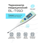 Термометр электронный Исток-Аудио