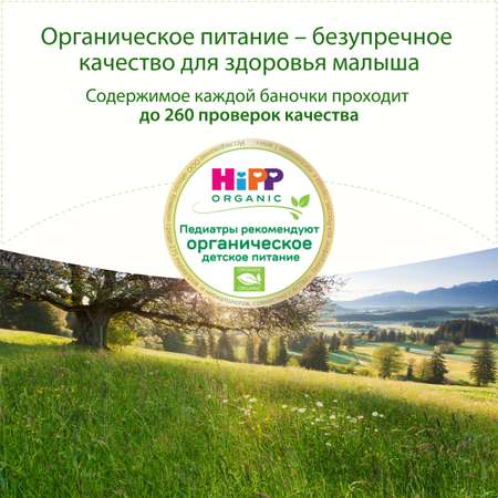 Супчик Hipp куриный с лапшой 190г с 12месяцев
