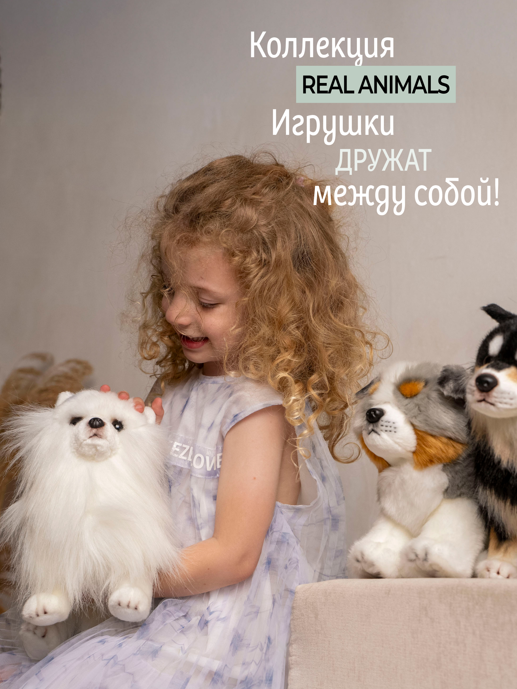 Мягкая игрушка GULLIVER toys Померанский шпиц - фото 11