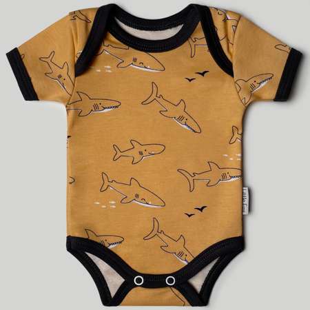 Боди 2 шт Little Fox