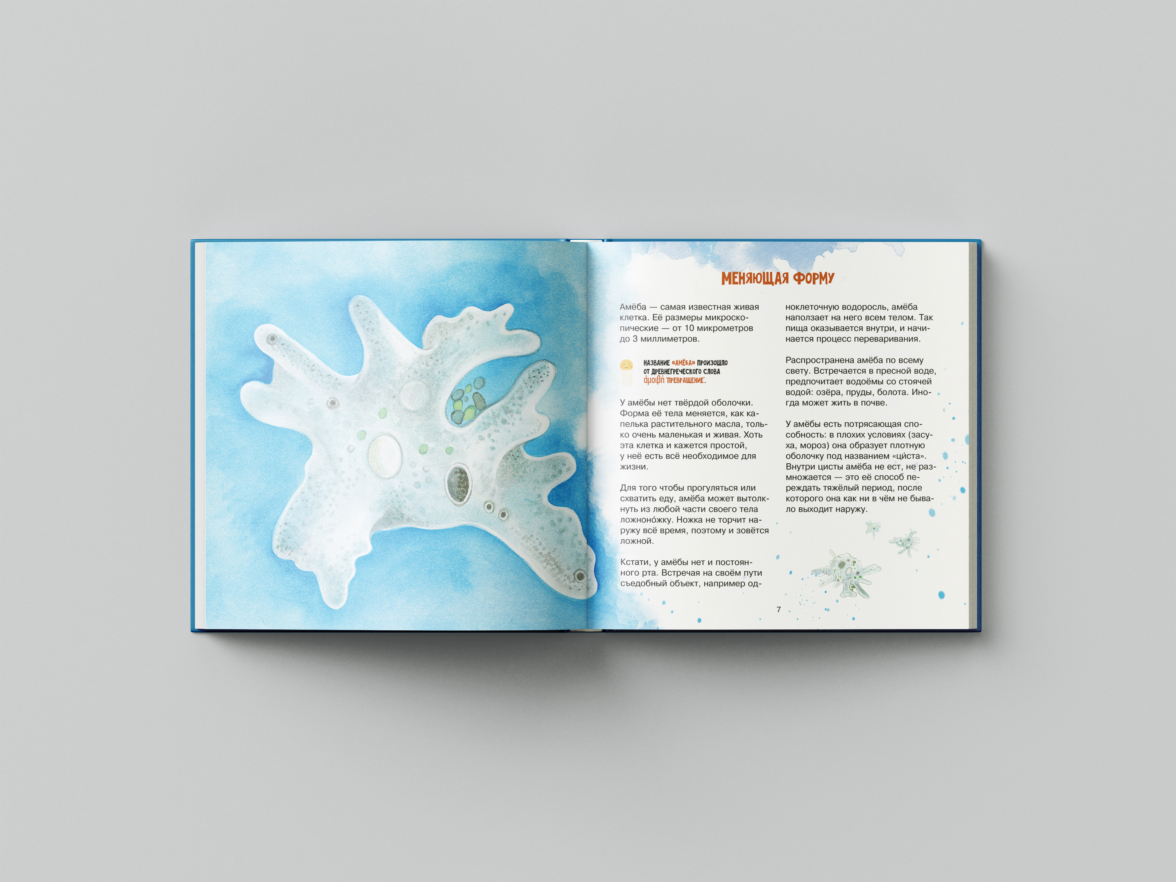 Книга Бумба Удивительный зоопланктон - фото 4