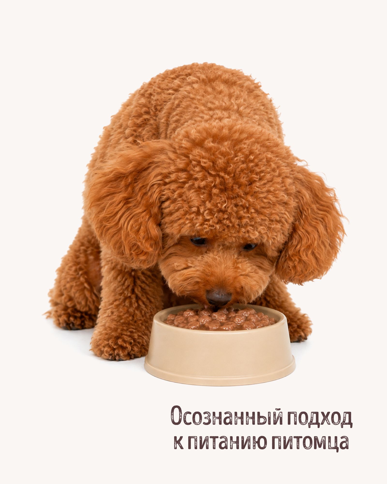 Корм полнорационный для собак CARNICA для мелких пород кусочки с мясным ассорти в соусе консервированный 85г - фото 7