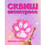 Сквиш Винтер лапка в ассортименте