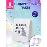 Пакет подарочный Золотая сказка большой крафтовый на день рождения