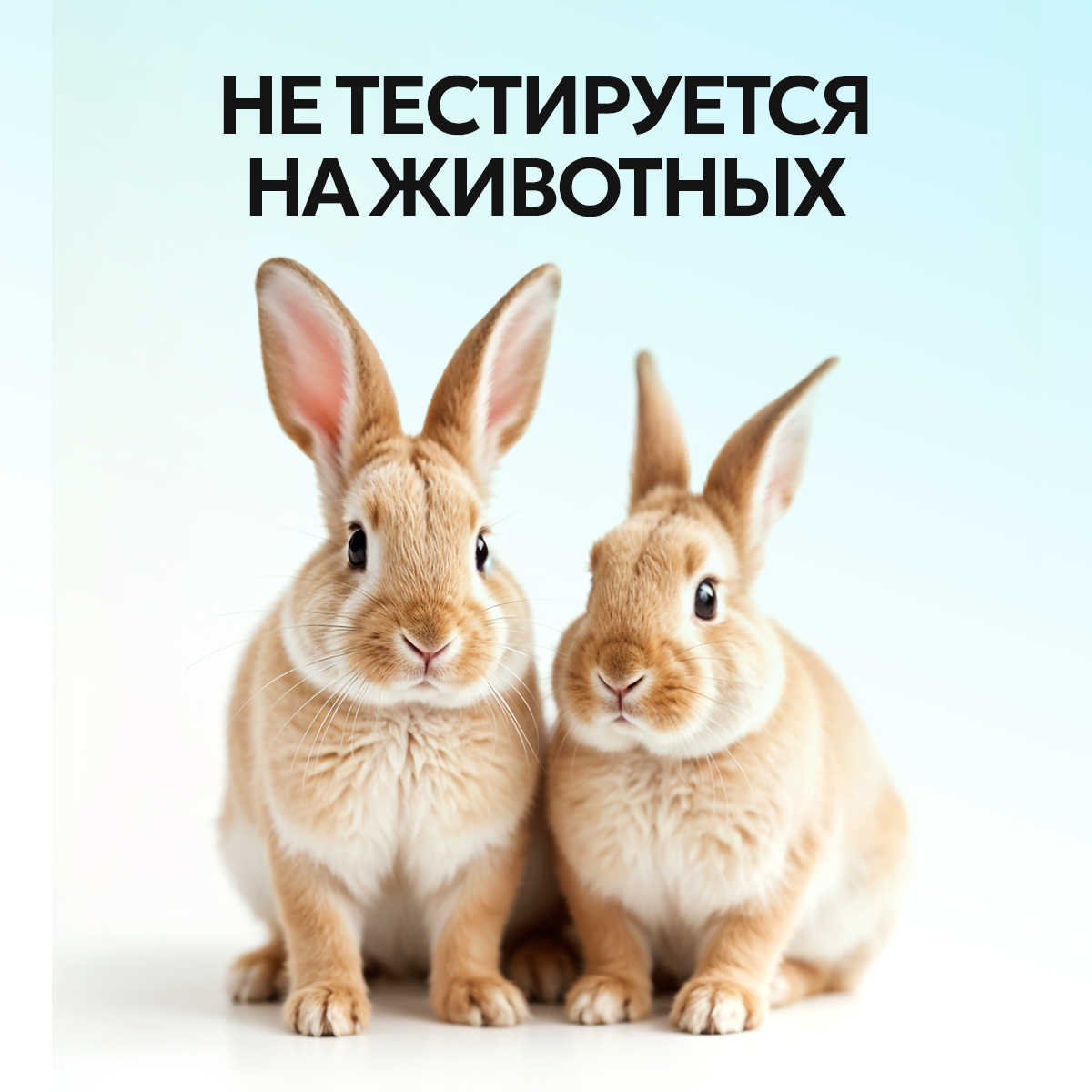 Гель NICE by Septivit Arctic Chill 5000 мл - фото 11