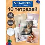 Тетрадь Brauberg клетка 18 лист. 10 шт.
