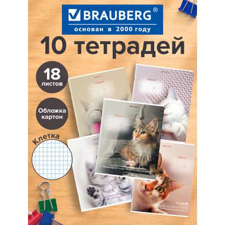 Тетрадь Brauberg клетка 18 лист. 10 шт.