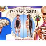 Книга Лабиринт Тело человека Мой первый атлас
