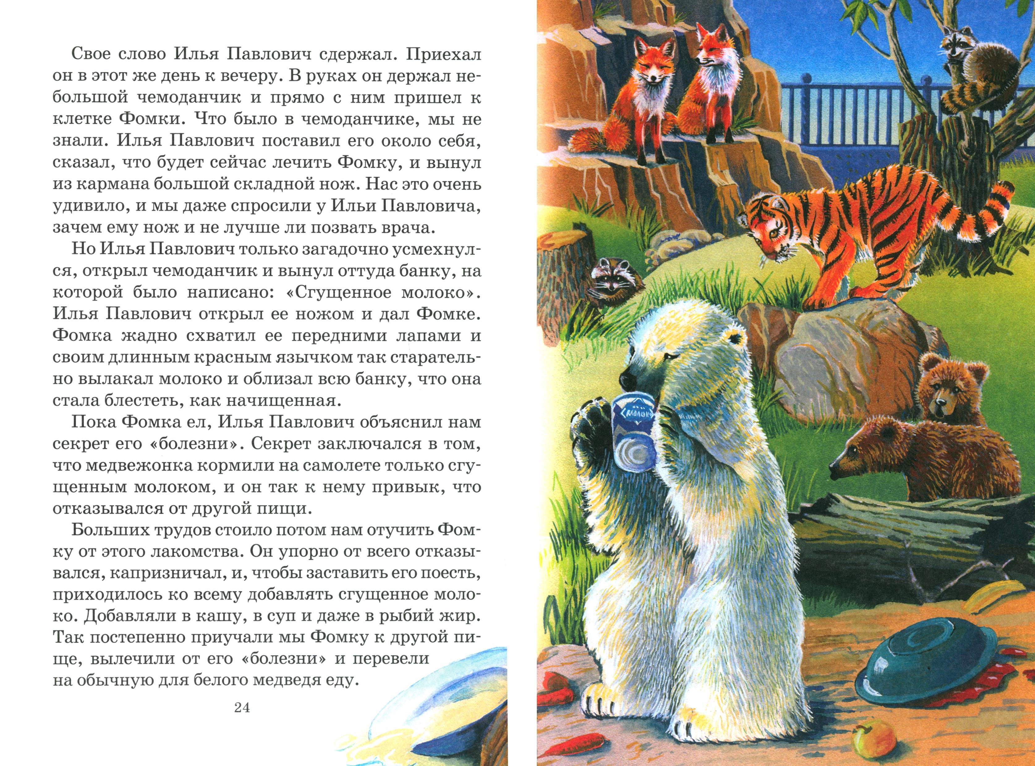 Книга СТРЕКОЗА Фомка - белый медвежонок - фото 3