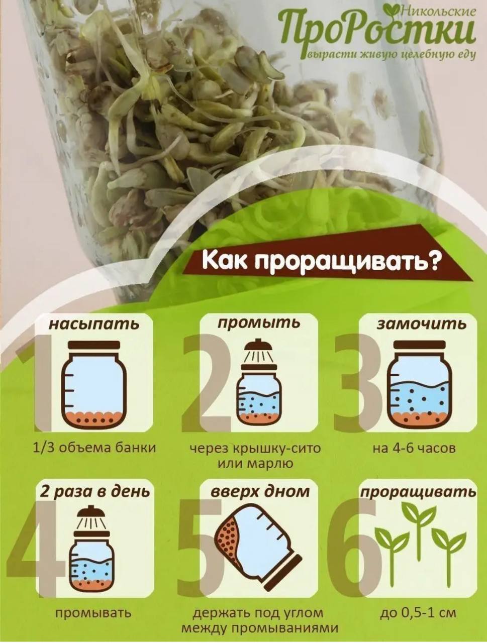 Семена для микрозелени Никольские ПроРостки подсолнечник - фото 8