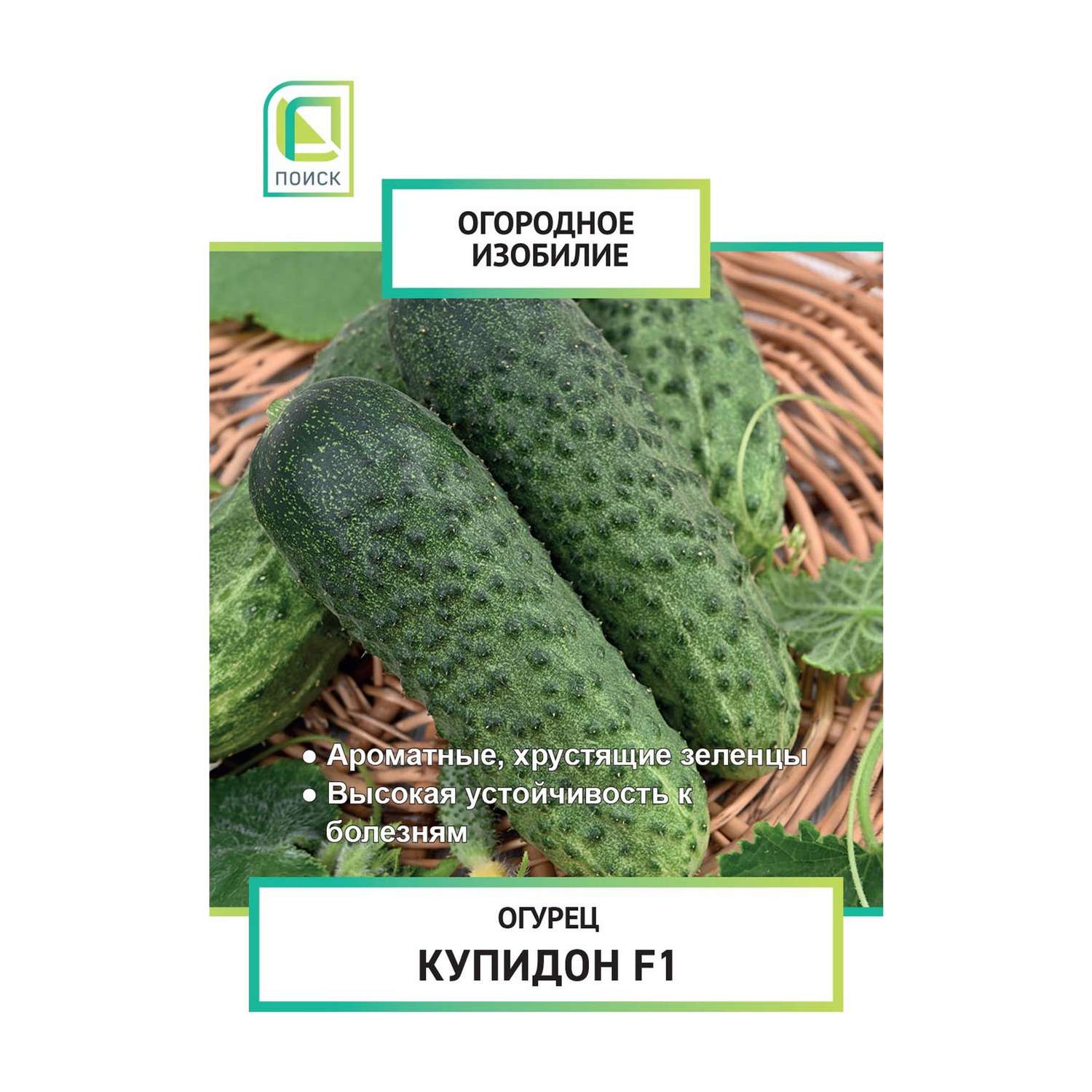 Огурец . Купидон F1 (А) 0.5г - фото 2