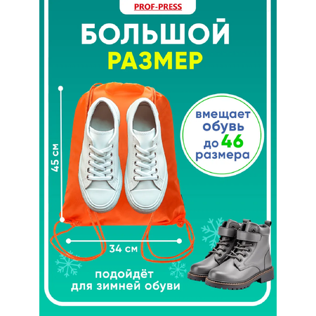 Мешок для обуви Prof-Press
